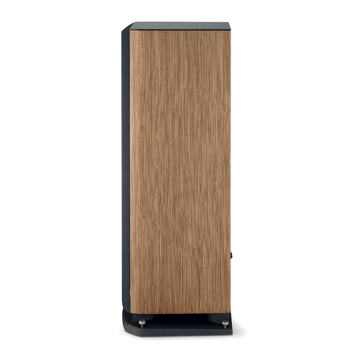 Focal Aria Evo X N°4 Floorstanding Speaker (Single)