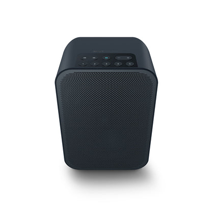 Bluesound Pulse Flex 2i Portable Speaker