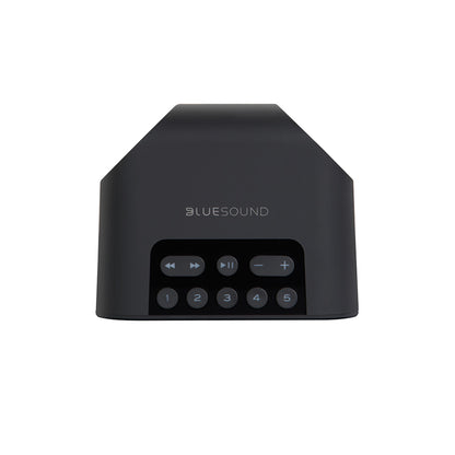 Bluesound Pulse Flex 2i Portable Speaker