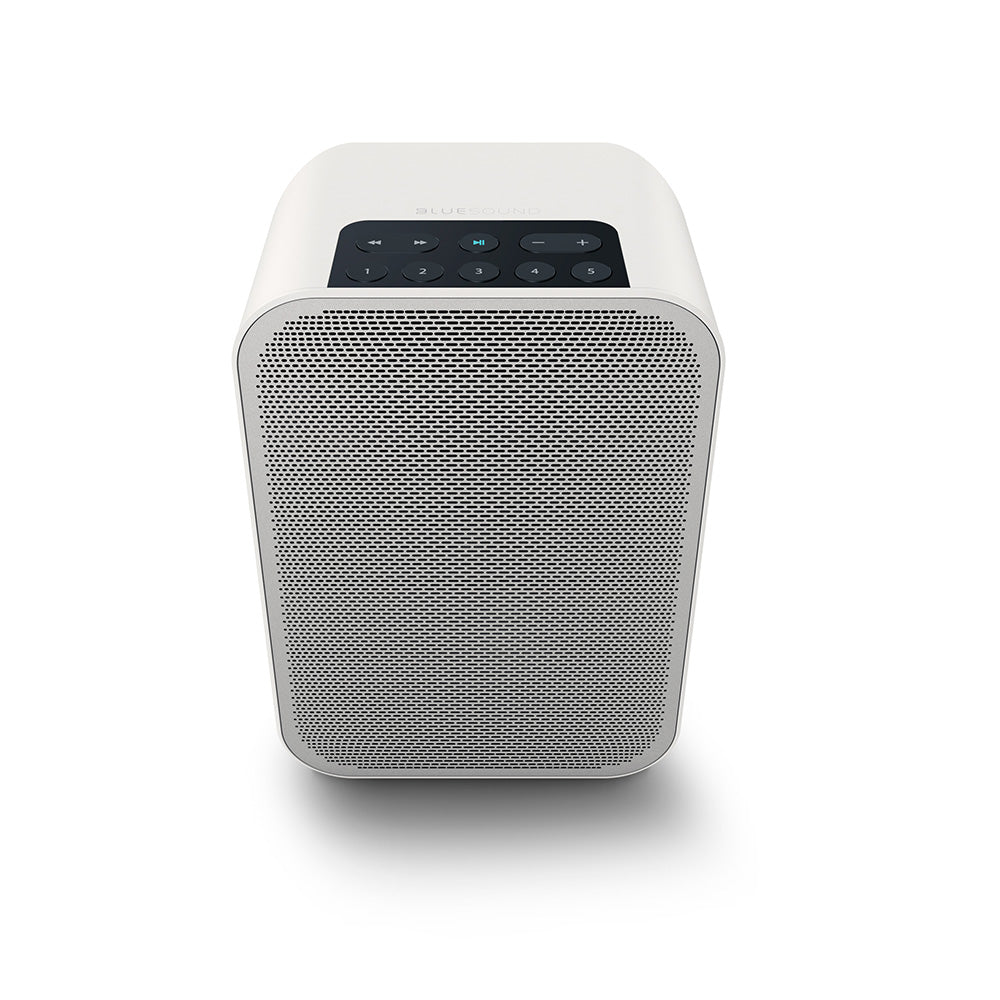 Bluesound Pulse Flex 2i Portable Speaker